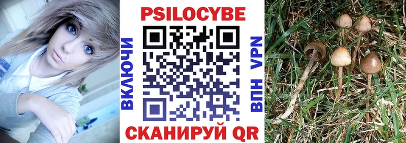 Купить где  Котовск  Псилоцибиновые грибы MAGIC MUSHROOMS 
